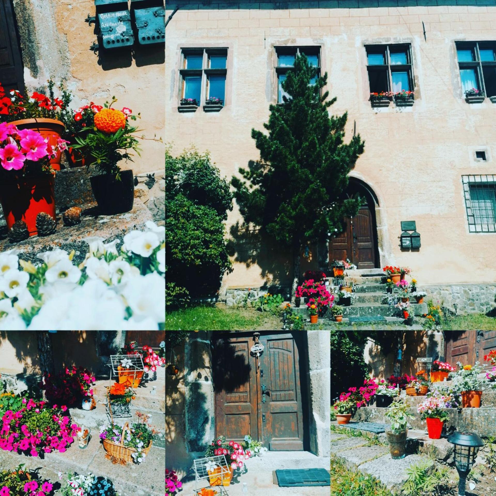 Gothic House Apartments Kremnitz Exterior foto